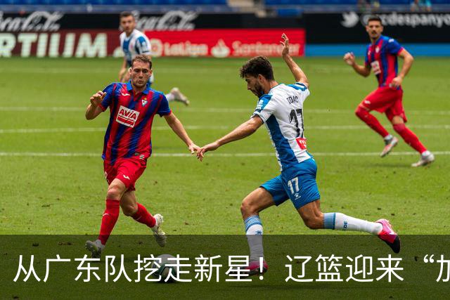 从广东队挖走新星！辽篮迎来“加强版杜润旺”，杜锋失去锋线人才
